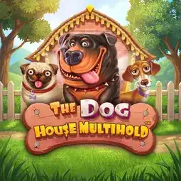 The Dog House Multihold game at Betman Casino for Australia players